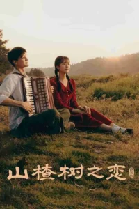 Chuyện Tình Cây Sơn Tra