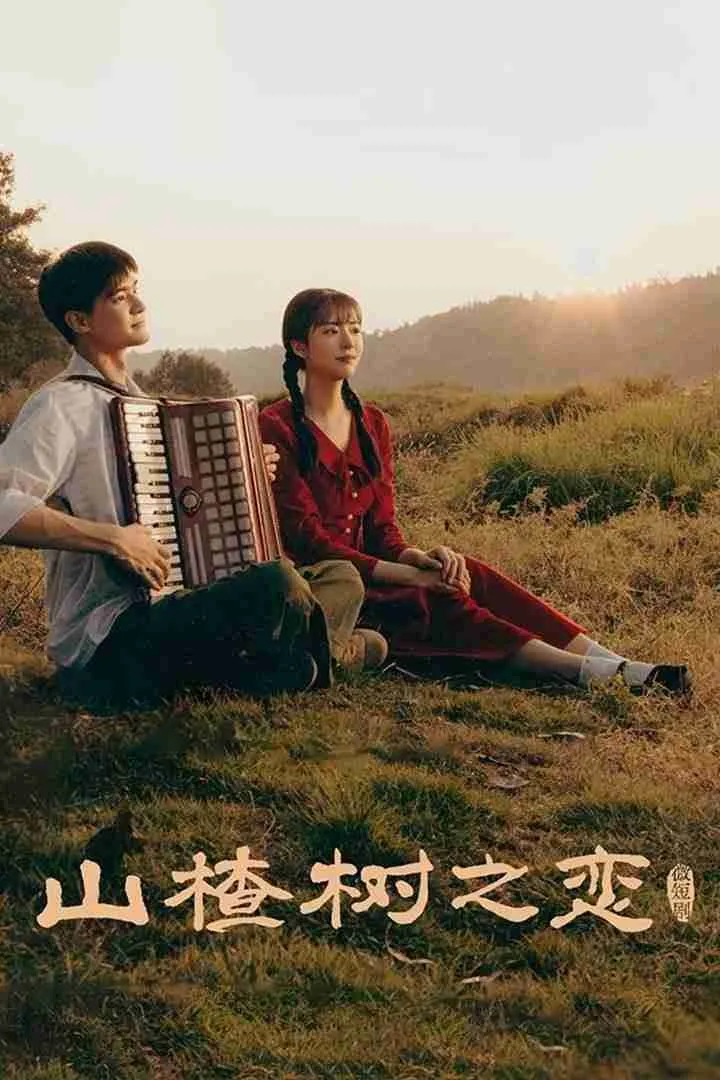 Chuyện Tình Cây Sơn Tra